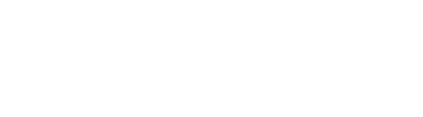asset specific logo inverse